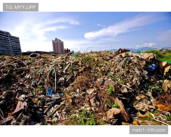 波·布伊三分投射能力突出，新疆外线火力不足困境有望缓解